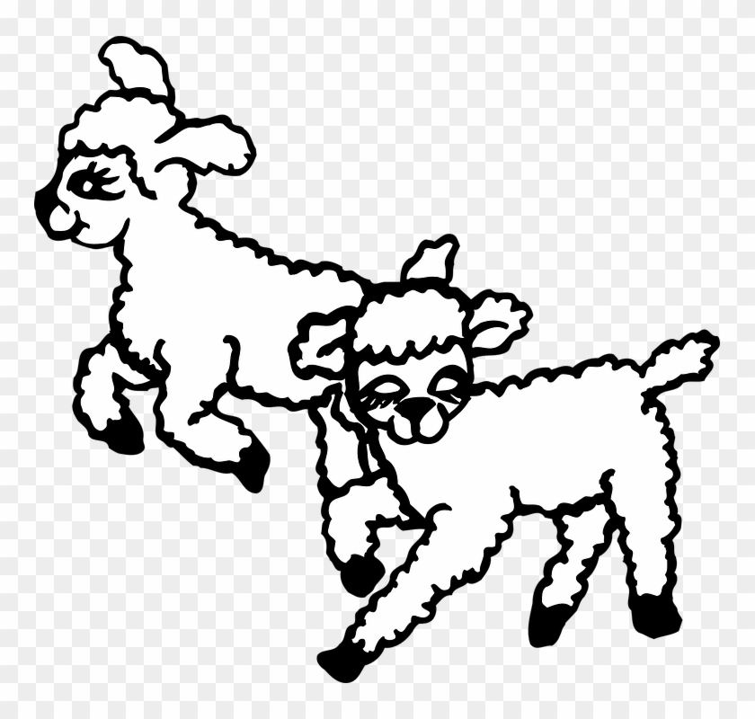 Lambs Clipart Black And White #191450