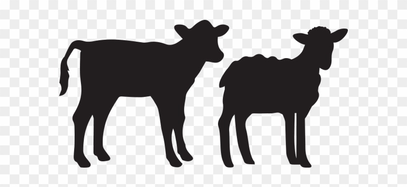 Lamb - Veal - Veal Silhouette #191571