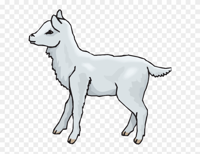 Clipart Lamb #191570