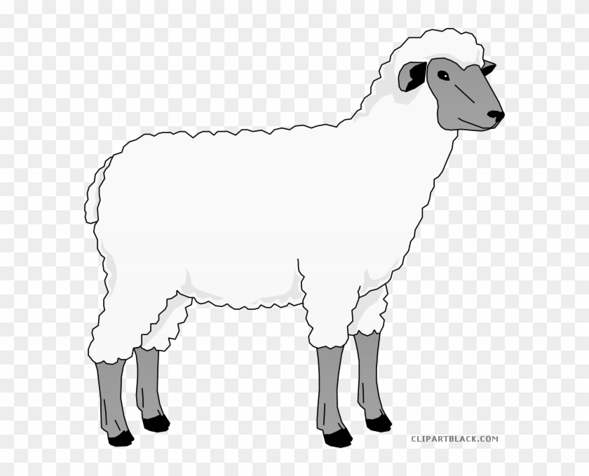 Sheep Animal Free Black White Clipart Images Clipartblack - Sheep Clip Art #191580