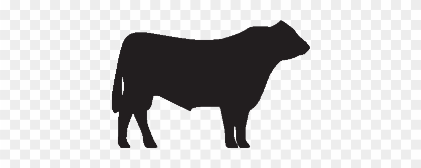Hereford Cow Silhouette Clipart Clipartfest - Angus Bull Clipart #191583