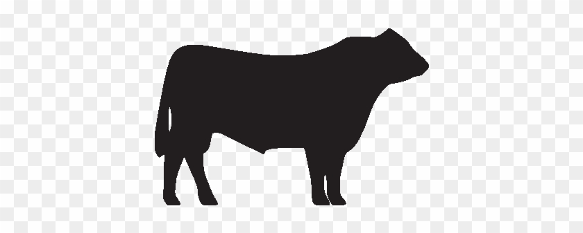 Free Clipart Hereford Bull