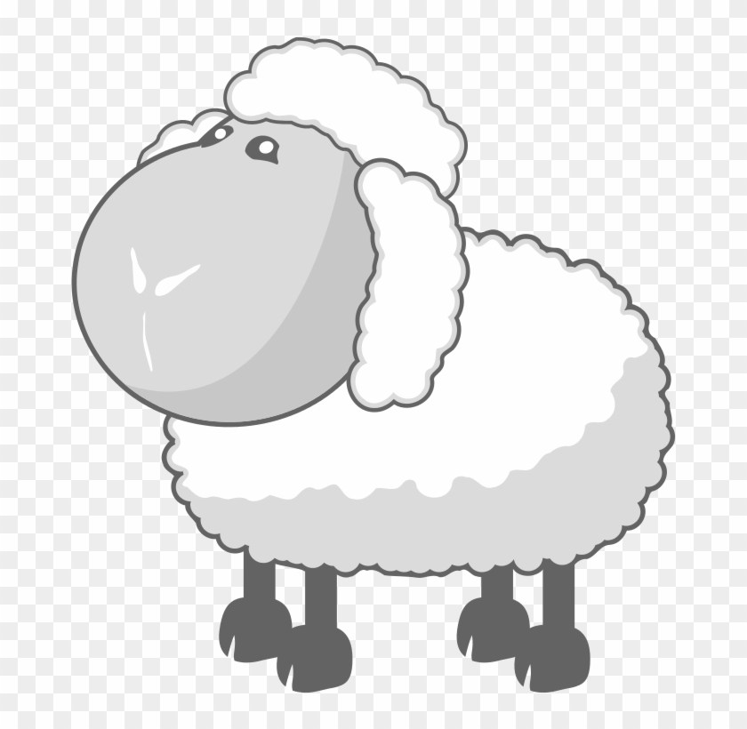 Sheep Picture - Baa Baa Wooly Sheep #191589