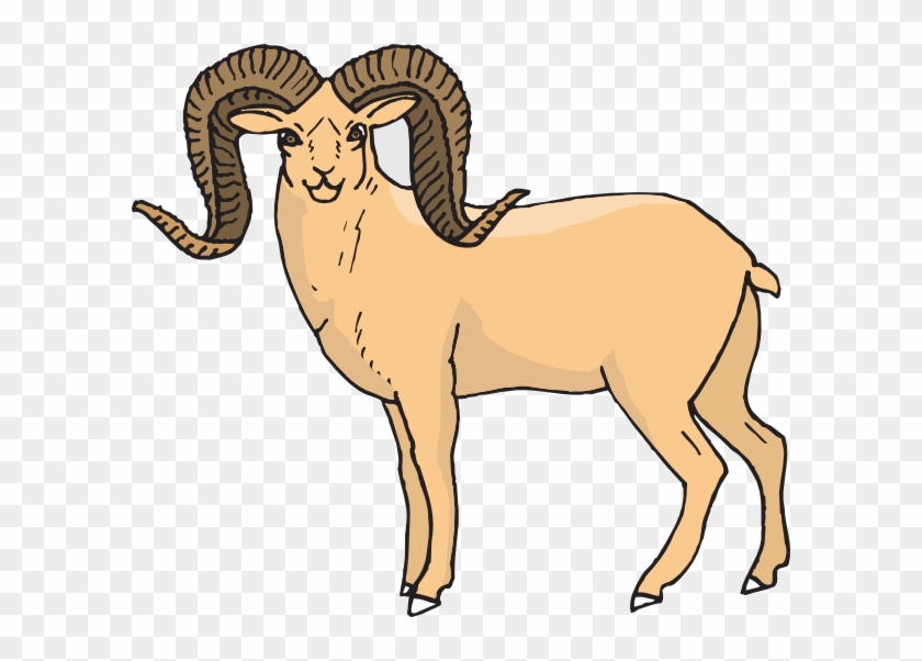 Desert Bighorn Sheep Clipart #191641