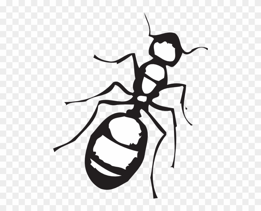 Sketch Of An Ant Png Clip Art - Black And White Ant #191695
