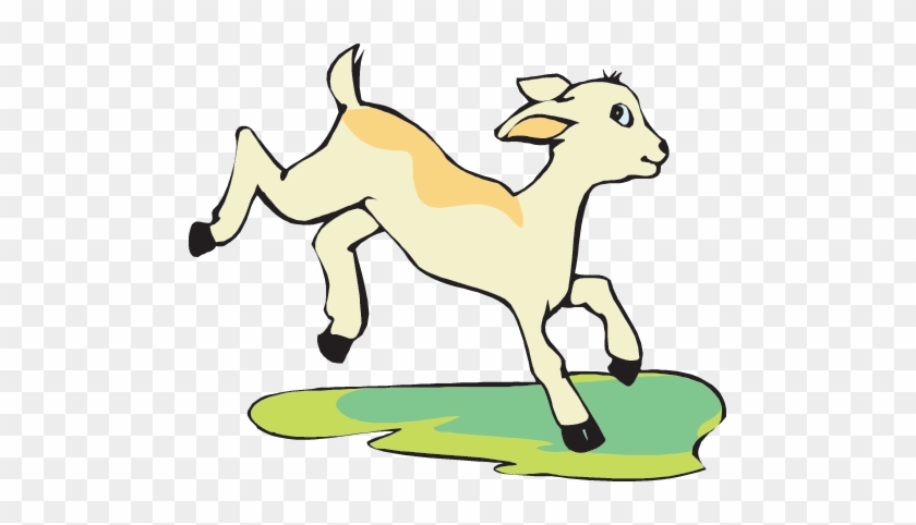 Baby Goat - Baby Goat Png Cartoon - Free Transparent PNG Clipart Images  Download