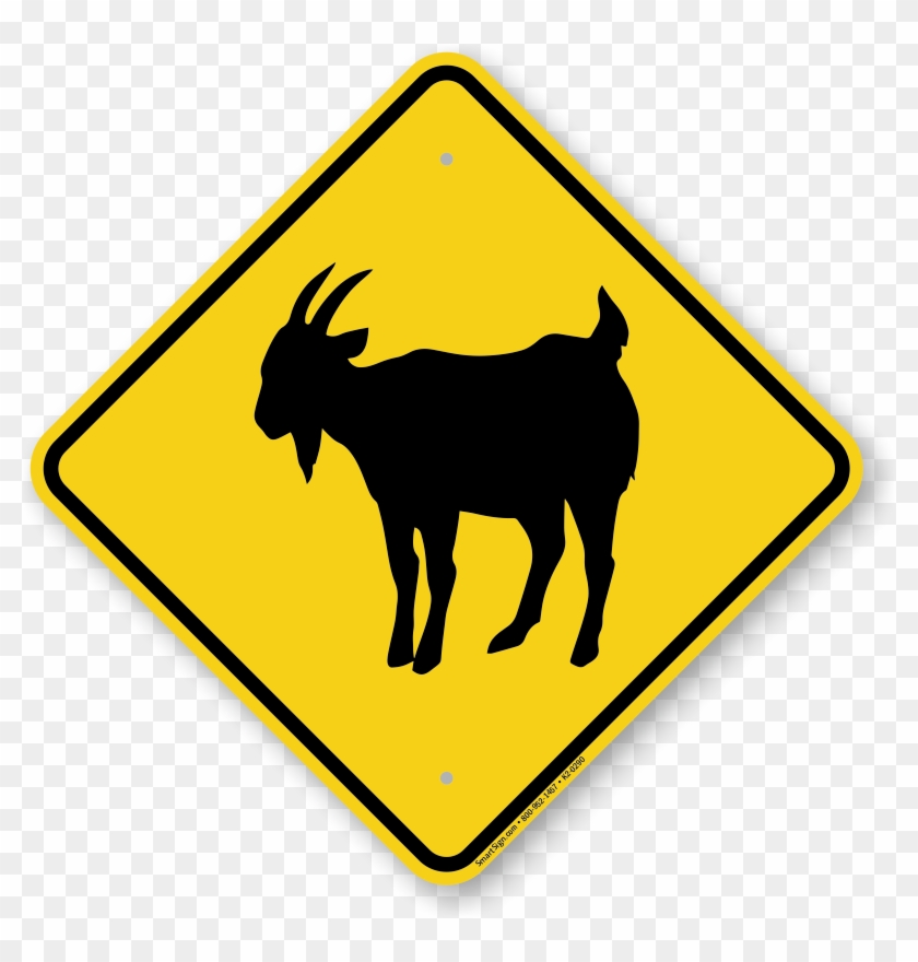 Goat Crossing Sign - Kangaroo Sign #191894