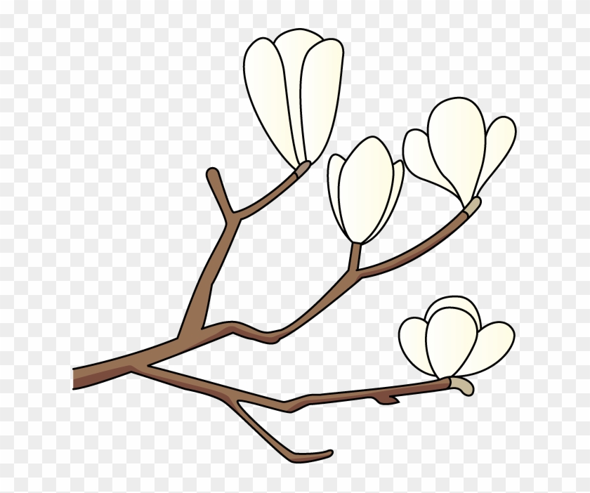 15 Magnolia Flower Frees That You Can Download To Clipart - 無料 イラスト こぶし の 花 #192026