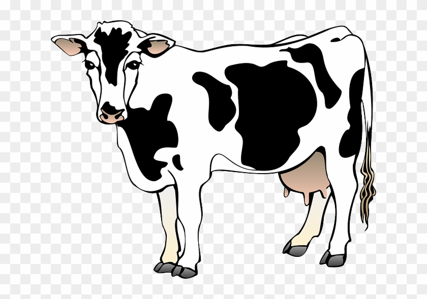 Ranch Animal Cliparts - Cow Clipart #192741