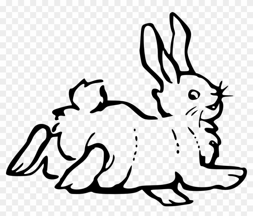 Bunny Clipart Black And White - Rabbit Clip Art #192811