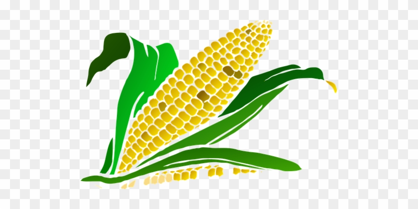 106 Free Vector Graphics Of Crop - Maize Plant Clipart #192842