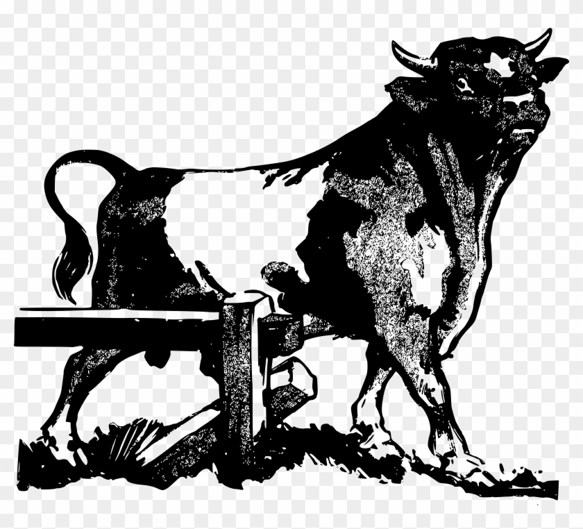 Big Image - Bull Cow Clipart #192946