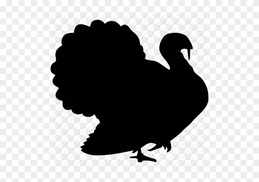 Bird, Chicken, Farm, Fauna, Thanksgiving, Traditional, - Turkey Icon #193057