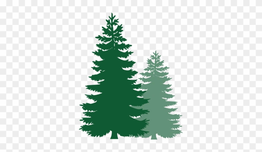 Unique Pine Tree Silhouette Ideas On Patches Pine Tree - Free Pine Tree Clipart #1144300