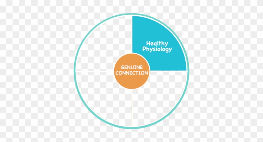 Healthy Physiology Is All About Addressing Our And - Circle #1144372