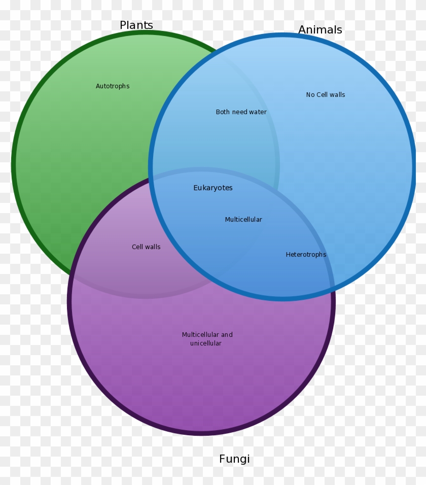 Venn - Plants Vs Animals Vs Fungi #1144415