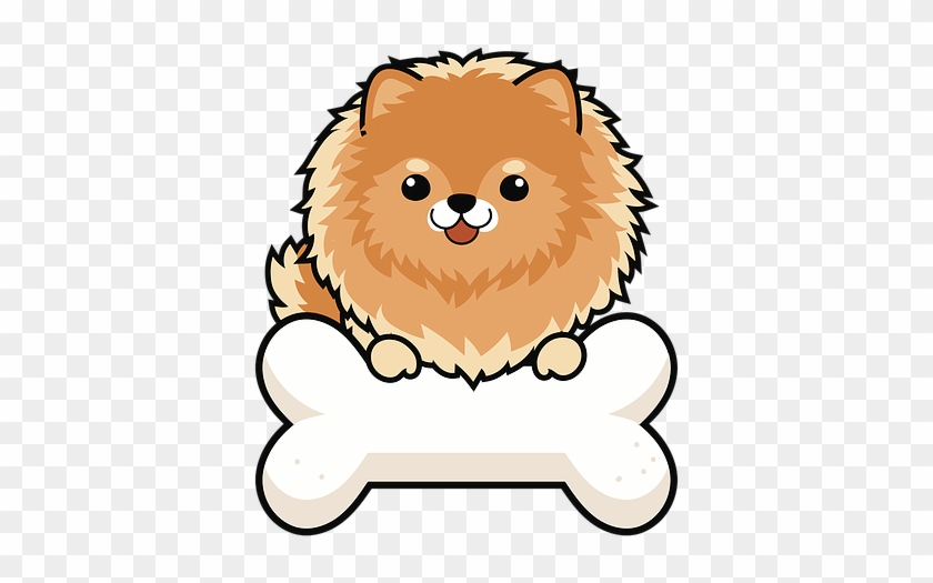 We Use Cookies To Provide The Services And Features - Pomeranian #1144614