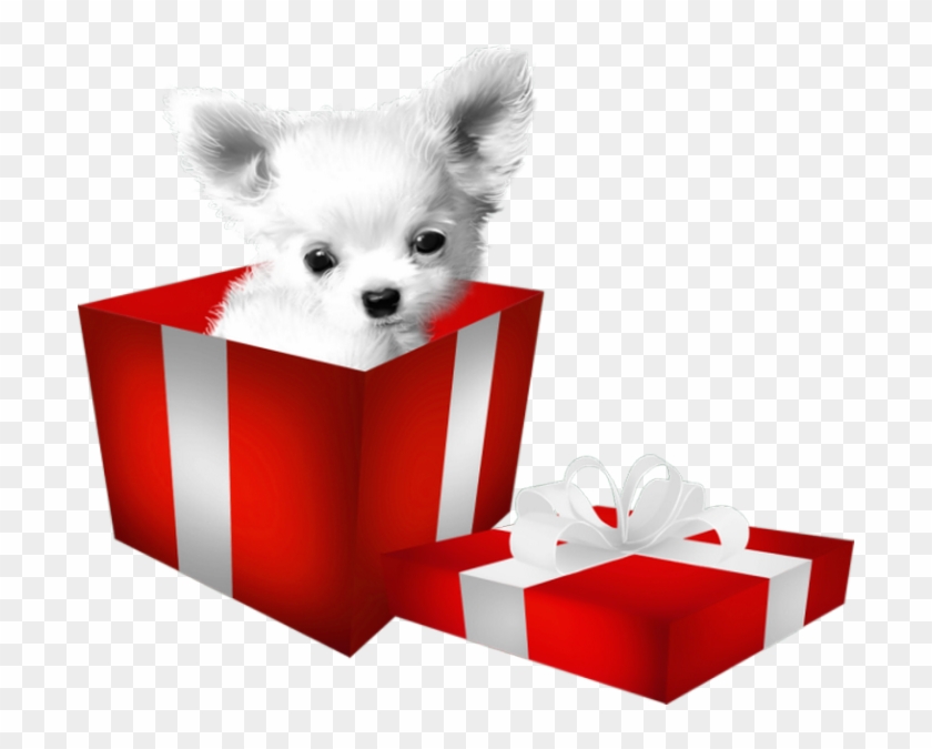 Pomeranian Puppy Dog Breed Clip Art - Cão Na Caixa De Presente Png #1144624