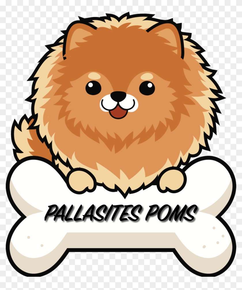 Pomeranian #1144662