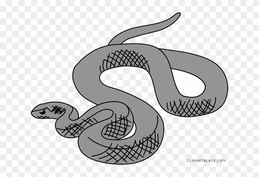 Snake Animal Free Black White Clipart Images Clipartblack - Snake Clipart #1144791