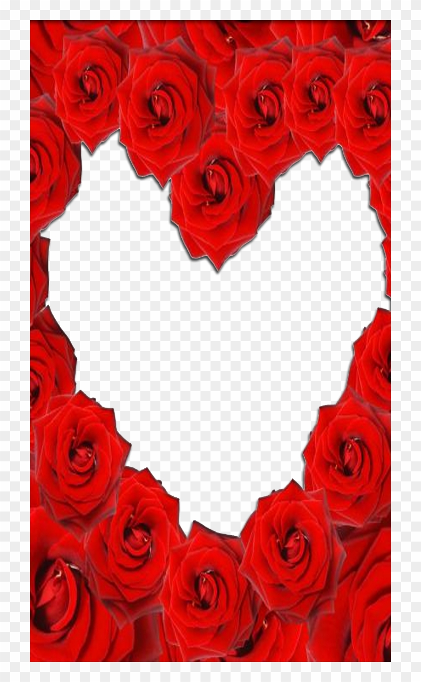 Red Rose Love Frame - Rose Love Frame #1144959