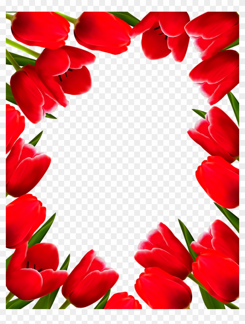 Tulip Flower Picture Frame Clip Art - Border Design Flower Rose #1145075