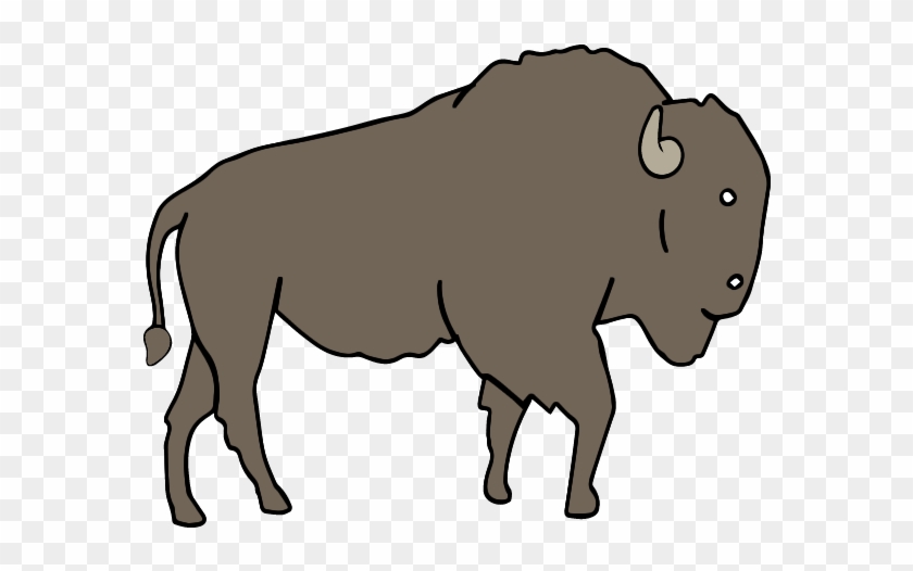 Bison - Bison #1145195