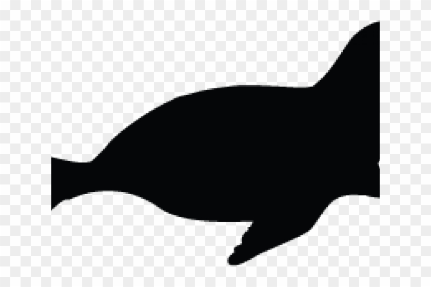 Seal Clipart Ocean Animal - Killer Whale #1145360