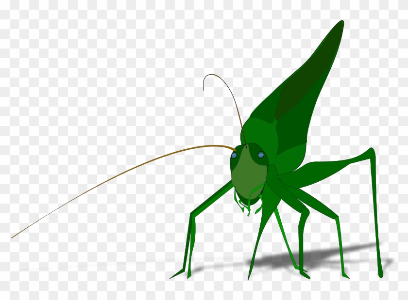Grasshopper Clipart #1145631