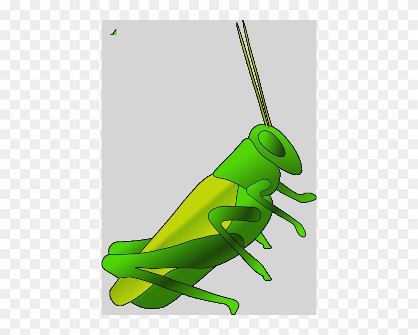 Grasshopper Clip Art #1145652