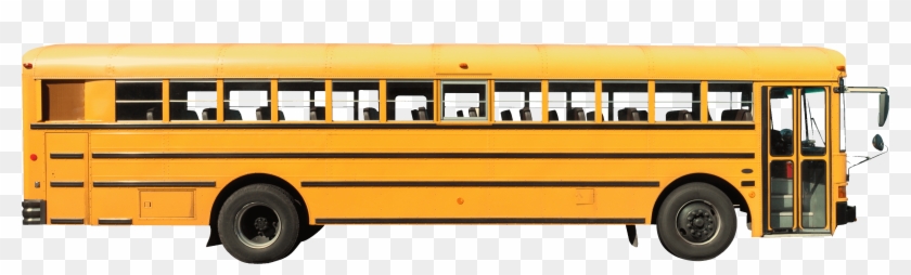 Picture Of School Bus - School Bus #1145665