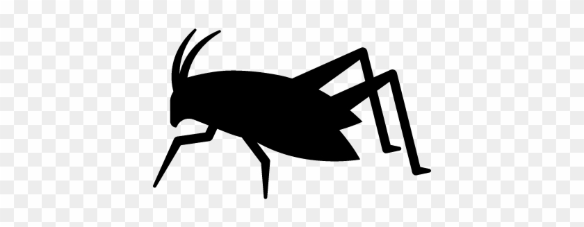 Grasshopper Sitting Vector - Insects Icon #1145680