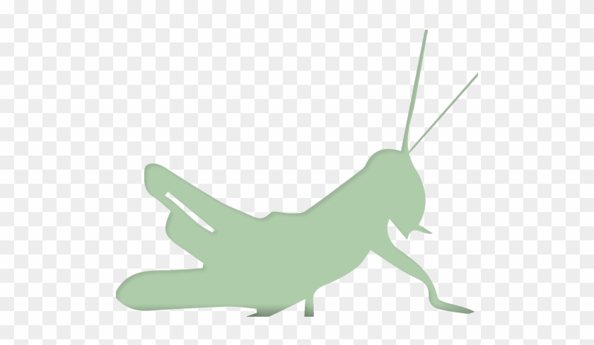 Gorgeous Content-rich Design For New Content Marketers, - Saltamontes Vector #1145758