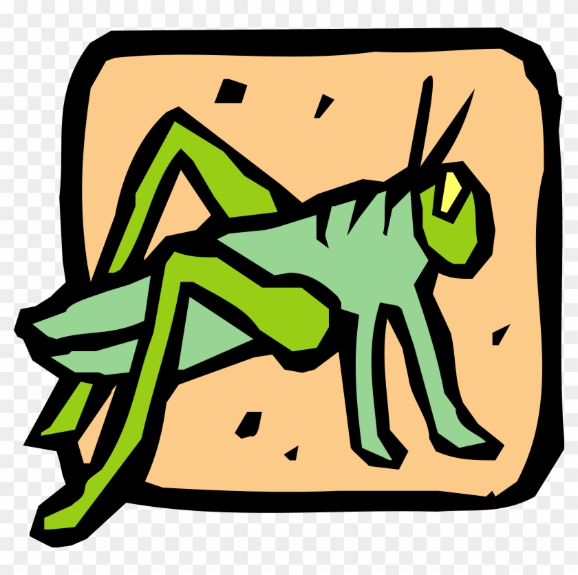 Insect 39 Free Vector / 4vector - Świerszczyk #1145768
