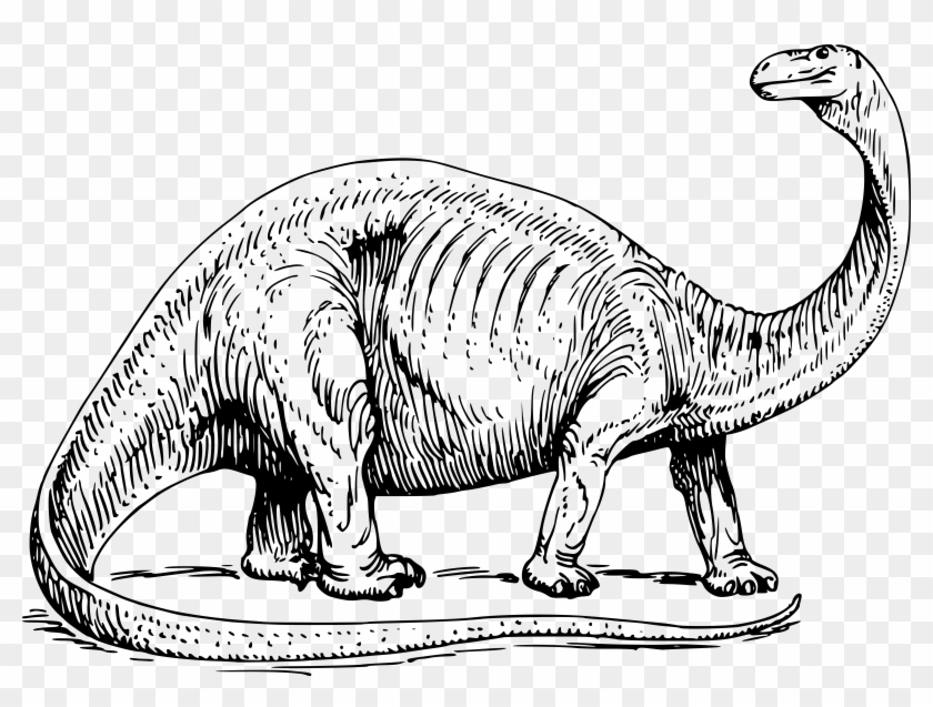 Big Image - Dinosaur Black And White Drawing #1146066