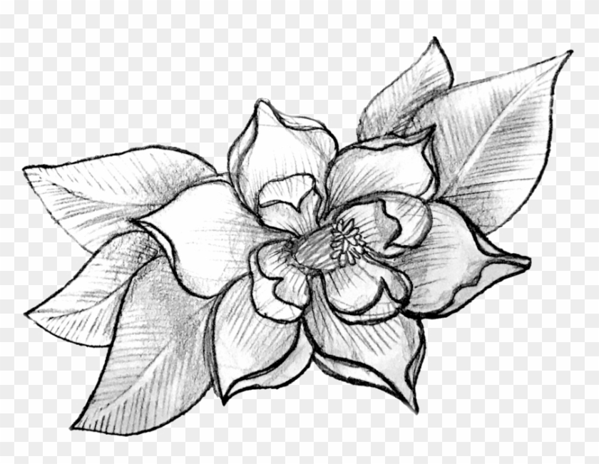 S Dogwood1 - S Dogwood1 #1146235