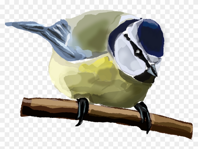 Blue Tit - Custom Blue Tit Bird Shower Curtain #1146251