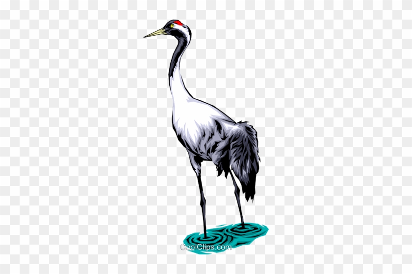 Common Crane Royalty Free Vector Clip Art Illustration - Crane Bird #1146280