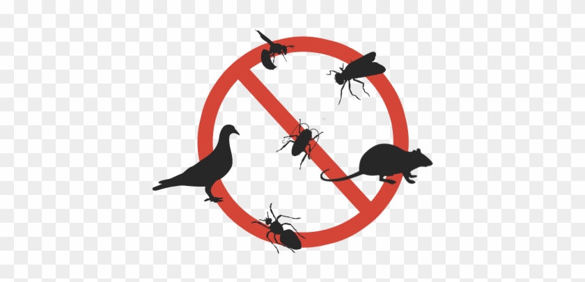 Our Commercial Pest Control Service Plans Can Be Customized - Pest Control #1146354