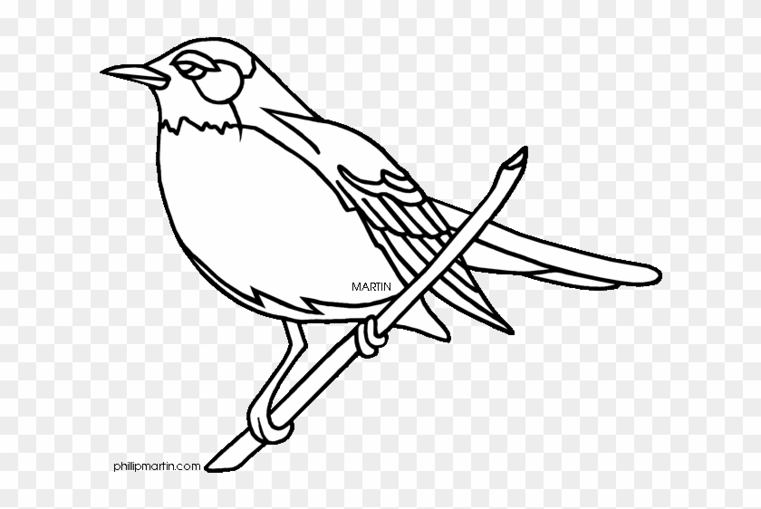 Wisconsin - Clipart - Wisconsin State Bird Coloring Page #1146365