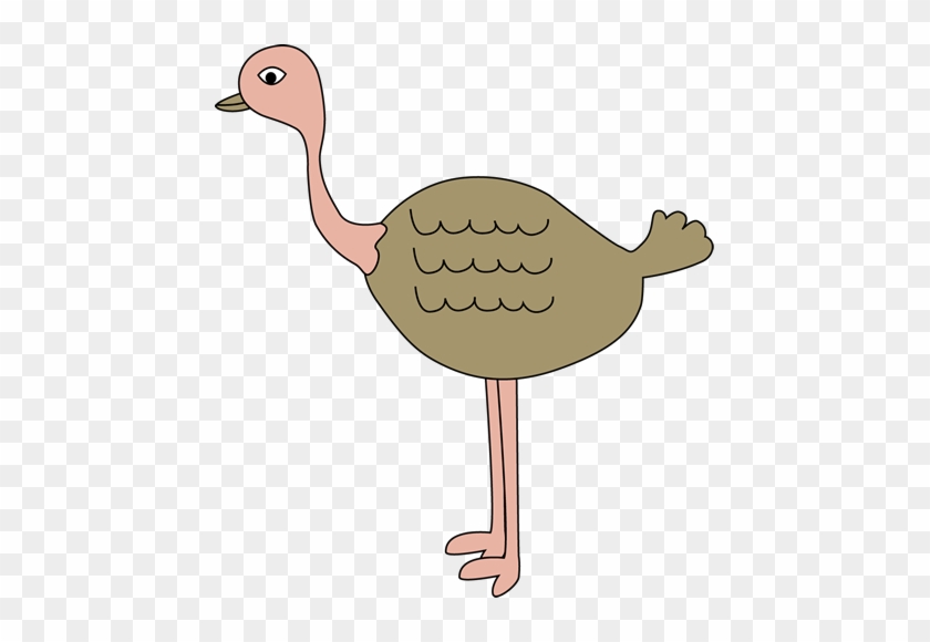 Emu Clipart Ostrich - Ostrich Clipart #1146368