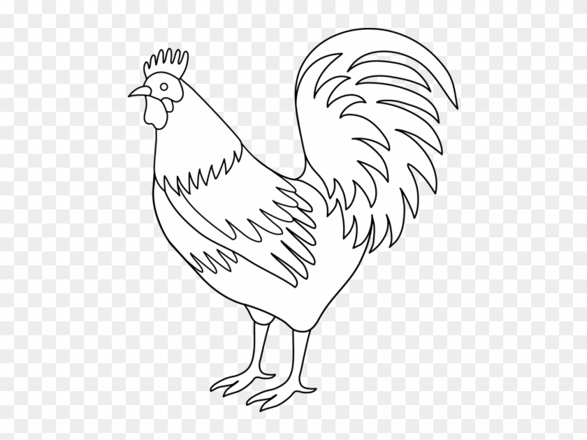 Rooster Coloring Page Free Clip Art - Coloring Book #1146381