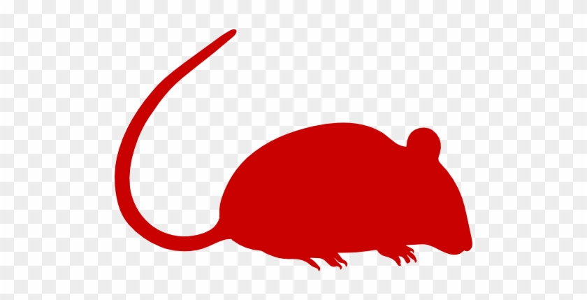 Rollins Pest Control Inc - Rat Logo Transparent #1146510