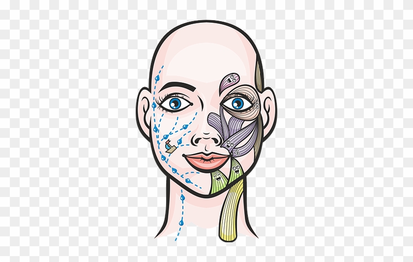 Facial-gym - Massages - - Massage #1146598