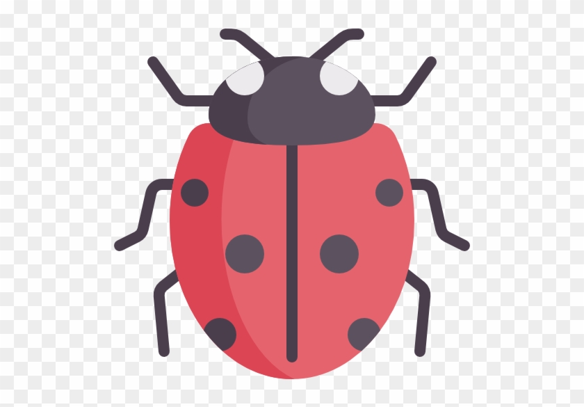 Ladybug #1146619