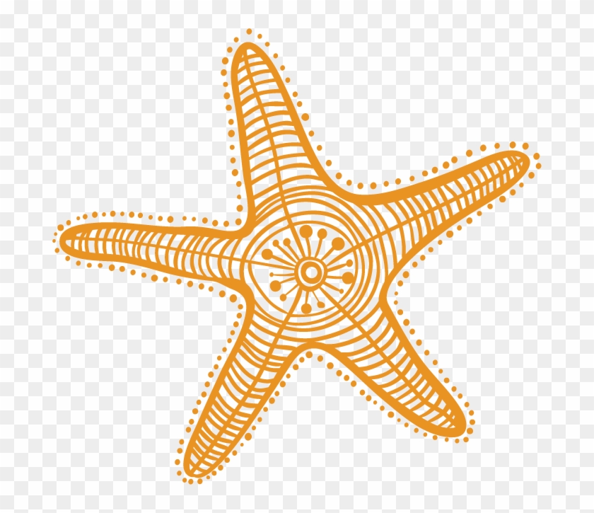 Starfish Drawing Cartoon Clip Art - Dibujo Estrella De Mar #1146620