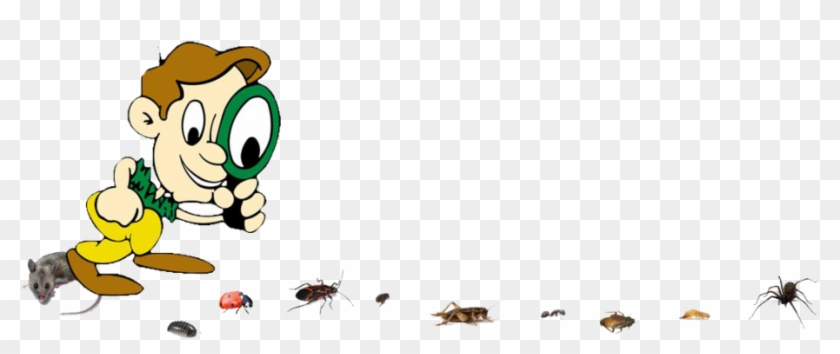 Pest Control Termite Prevention Pest Control Services - Pest #1146626