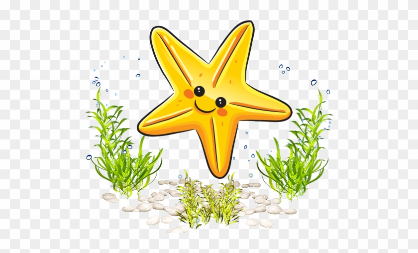 Drawing Sea Starfish Cartoon - Marine Life Cartoon #1146636