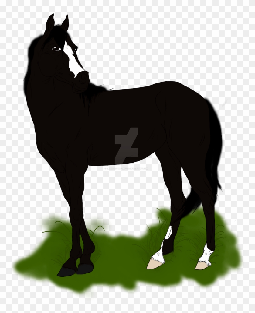 Hss Sex And Hollywood By Chestnutgrovestud - Mane #1147140