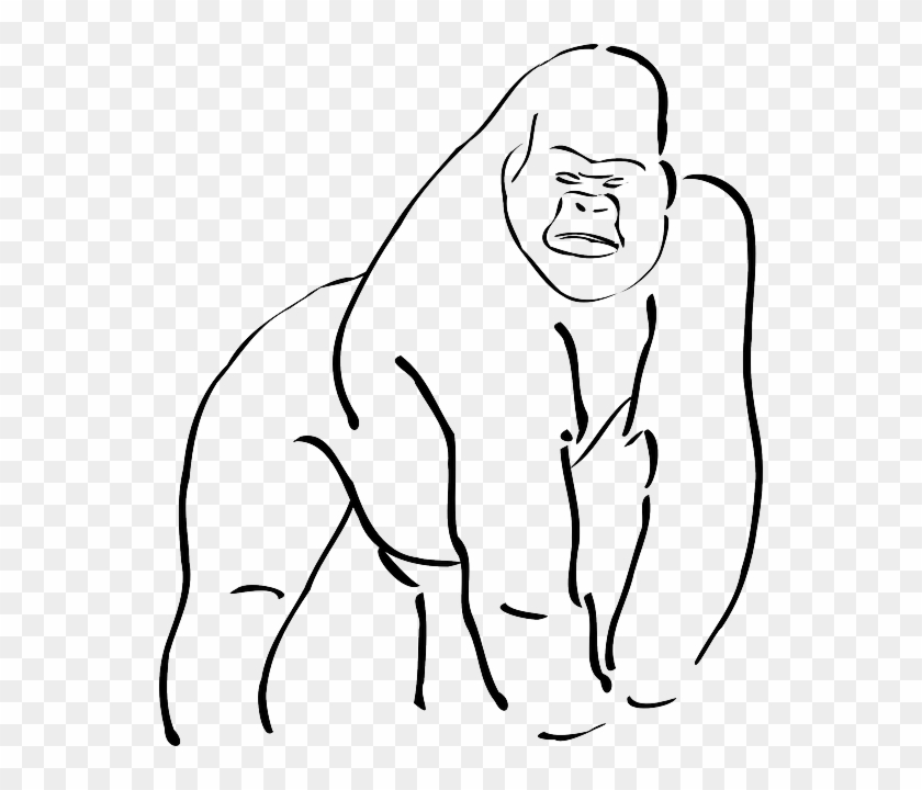 Outline Of A Gorilla Gorilla Silhouette Free Vector - Sketch Of A Gorilla #1147331